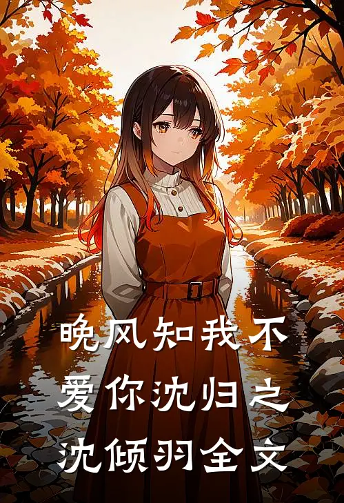 晚风知我不爱你沈归之沈倾羽全文