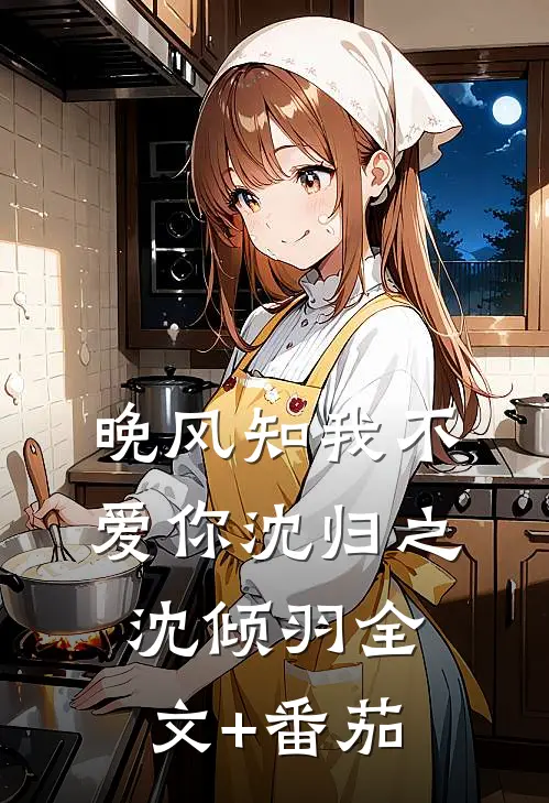 晚风知我不爱你沈归之沈倾羽全文+番茄