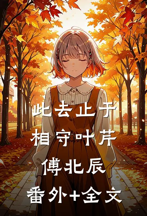此去止于相守叶芹傅北辰:(番外)+(全文)