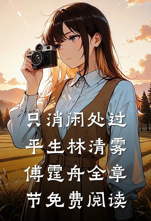 只消闲处过平生林清雾傅霆舟全章节免费阅读