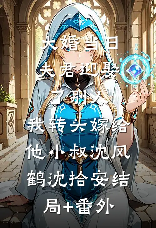 大婚当日夫君迎娶了别人，我转头嫁给他小叔沈风鹤沈拾安结局+番外