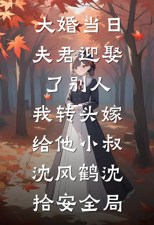 大婚当日夫君迎娶了别人，我转头嫁给他小叔沈风鹤沈拾安全局