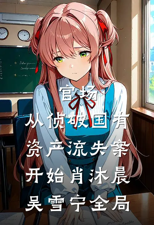 官场：从侦破国有资产流失案开始肖沐晨吴雪宁全局