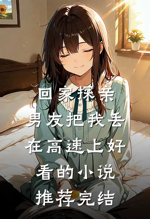 回家探亲，男友把我丢在高速上好看的小说推荐完结