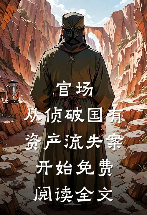 官场：从侦破国有资产流失案开始免费阅读全文