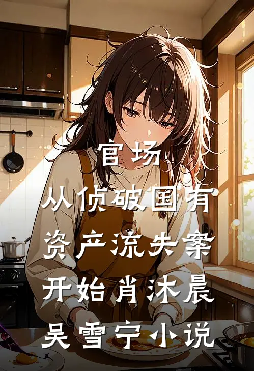 官场：从侦破国有资产流失案开始肖沐晨吴雪宁小说