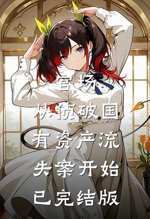 官场：从侦破国有资产流失案开始已完结版