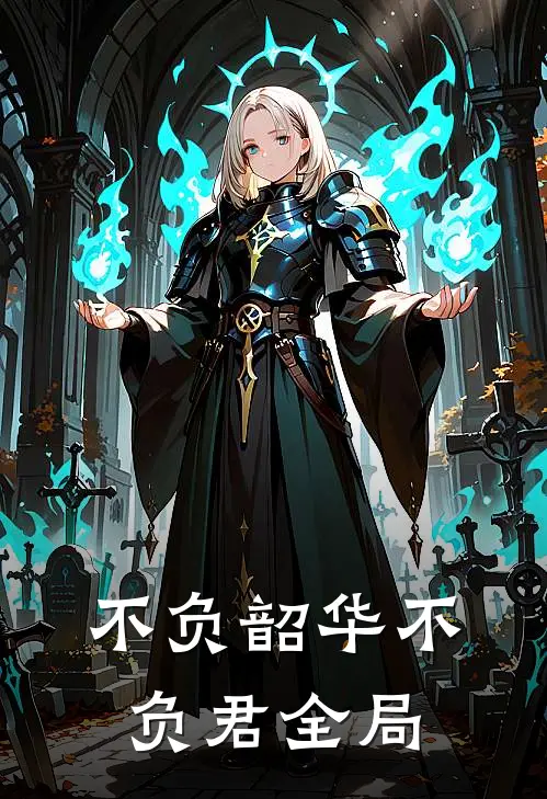 不负韶华不负君全局