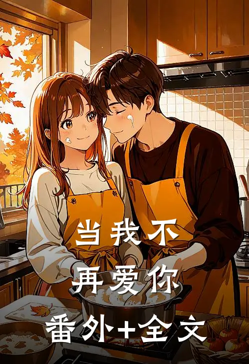 当我不再爱你:(番外)+(全文)
