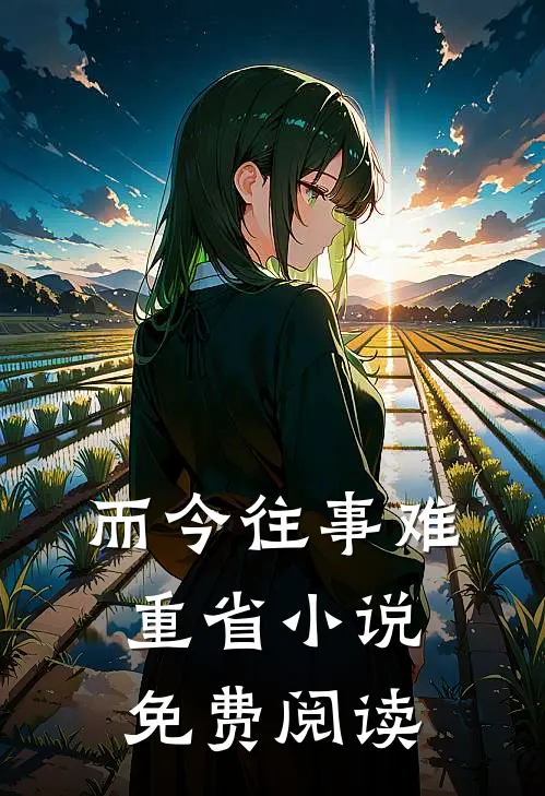 而今往事难重省小说免费阅读