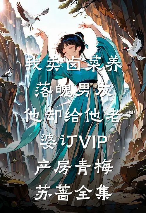 我卖卤菜养落魄男友，他却给他老婆订VIP产房青梅苏蔷全集