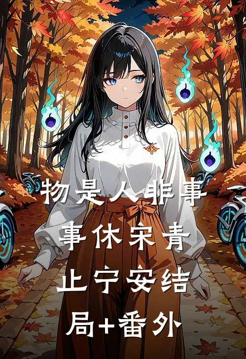 物是人非事事休宋青止宁安结局+番外