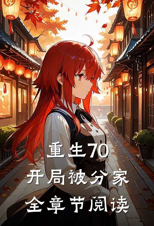 重生70，开局被分家全章节阅读