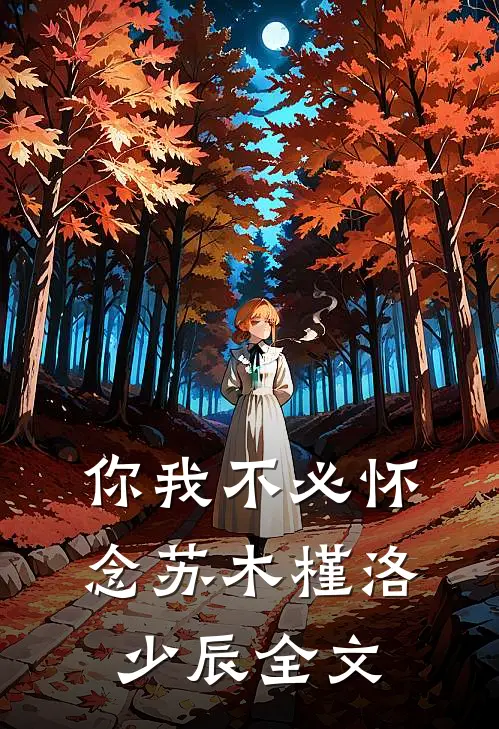你我不必怀念苏木槿洛少辰全文