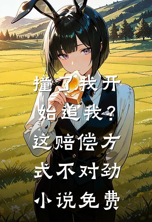 撞了我开始追我？这赔偿方式不对劲小说免费