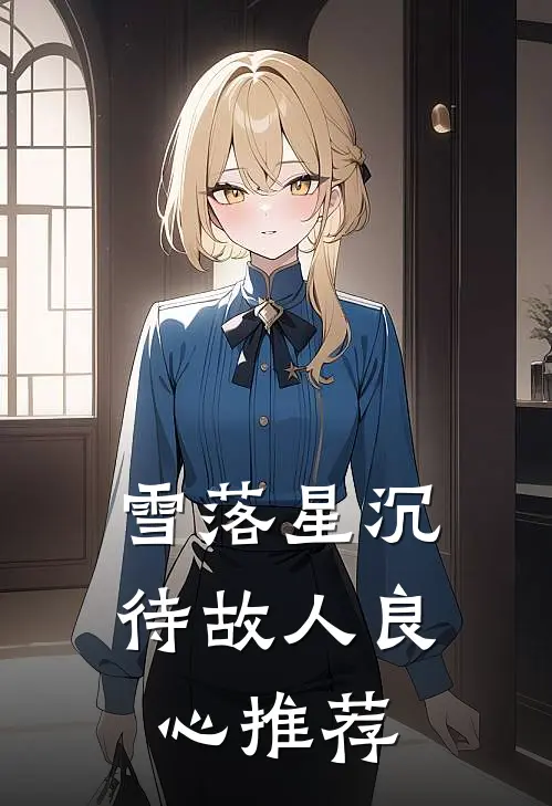 雪落星沉待故人良心推荐