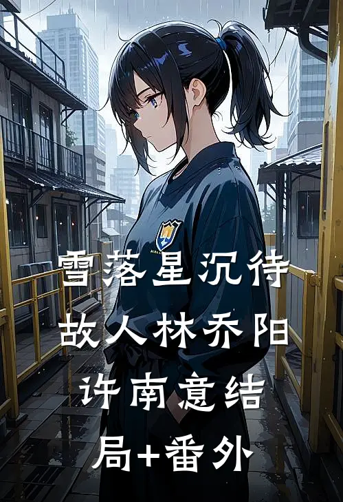 雪落星沉待故人林乔阳许南意结局+番外