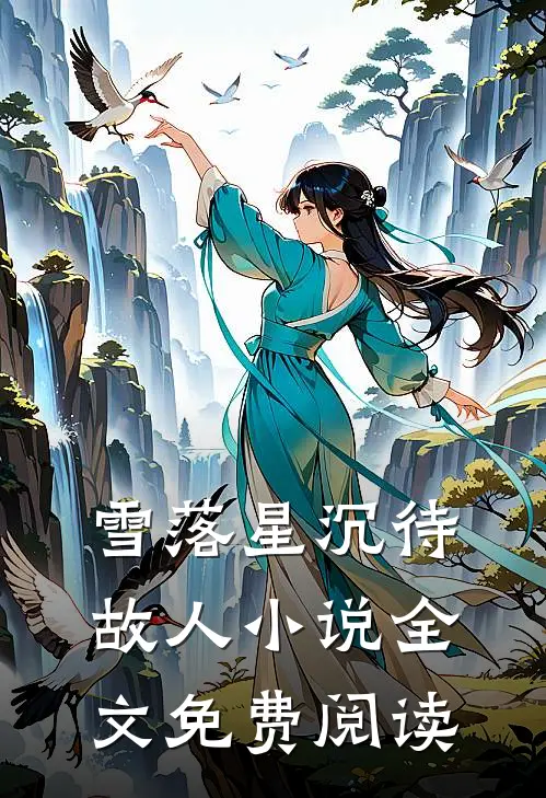 雪落星沉待故人小说全文免费阅读