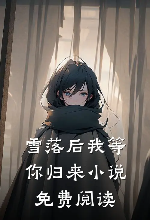 雪落后我等你归来小说免费阅读