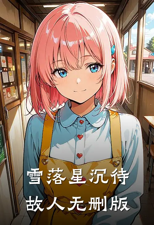 雪落星沉待故人无删版