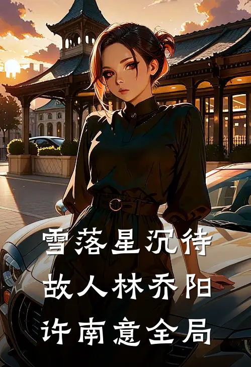 雪落星沉待故人林乔阳许南意全局