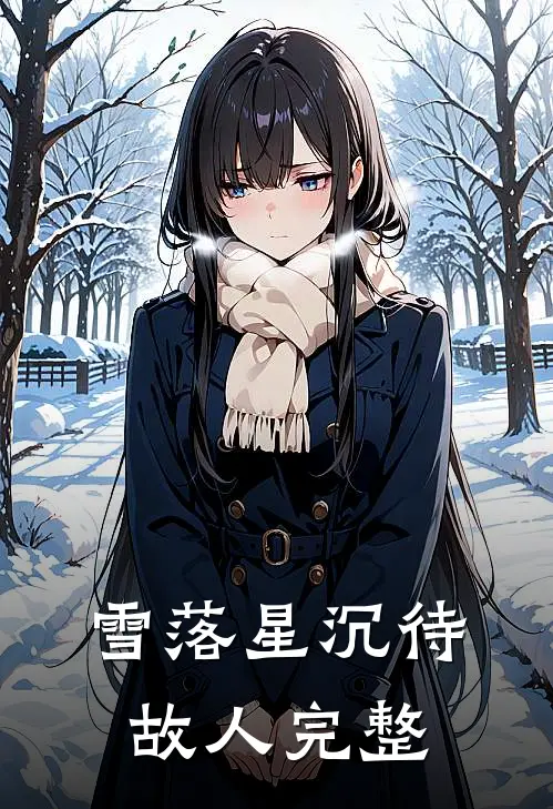 雪落星沉待故人完整