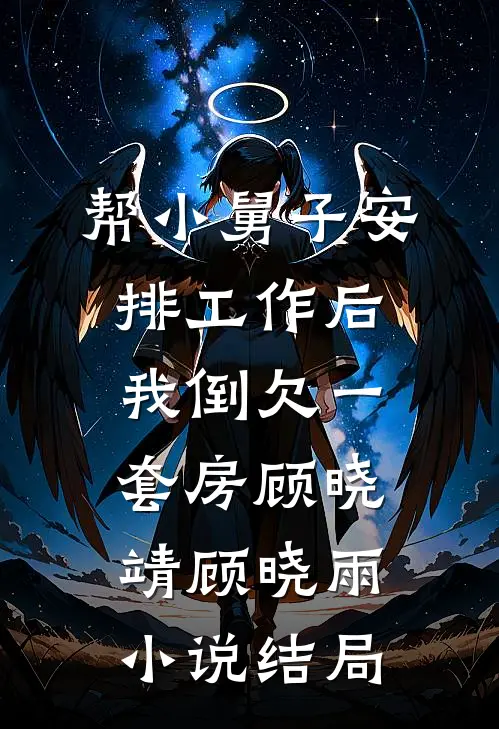 帮小舅子安排工作后，我倒欠一套房顾晓靖顾晓雨小说结局