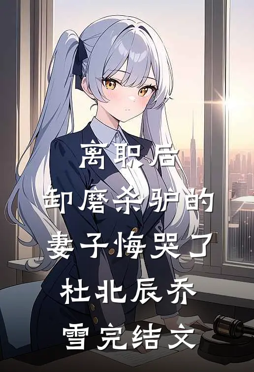 离职后，卸磨杀驴的妻子悔哭了杜北辰乔雪完结文