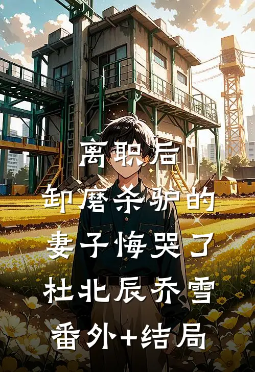 离职后，卸磨杀驴的妻子悔哭了杜北辰乔雪(番外)+(结局)