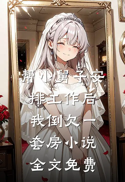 帮小舅子安排工作后，我倒欠一套房小说全文免费