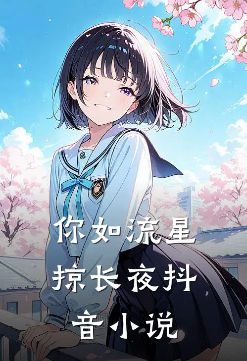 你如流星掠长夜抖音小说