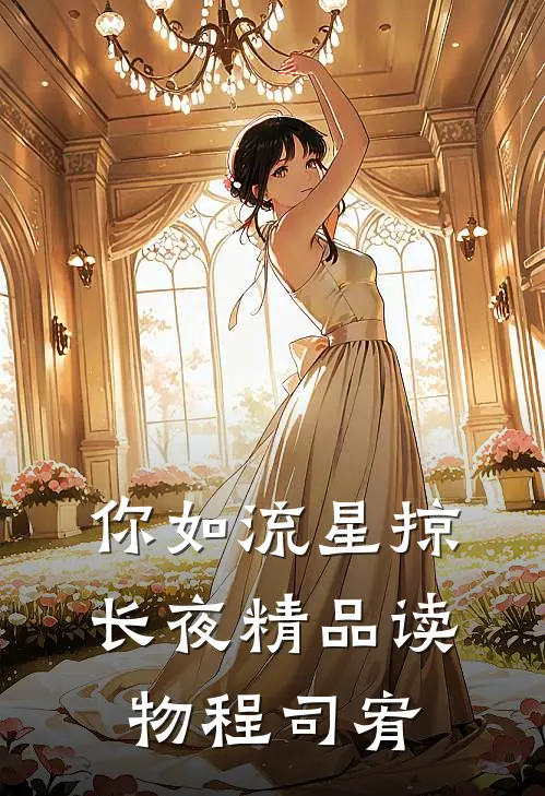 你如流星掠长夜精品读物程司宥