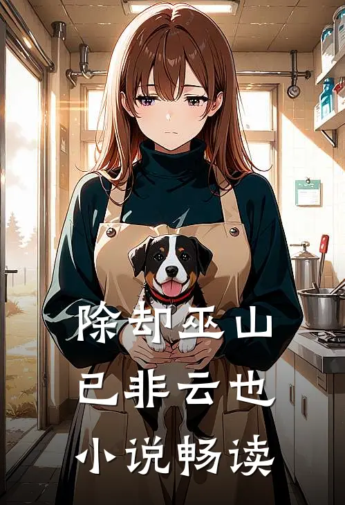 除却巫山已非云也小说畅读