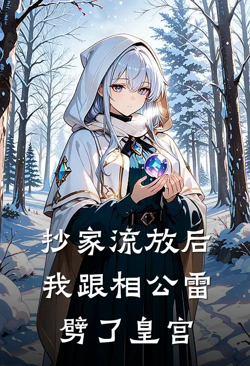 抄家流放后，我跟相公雷劈了皇宫