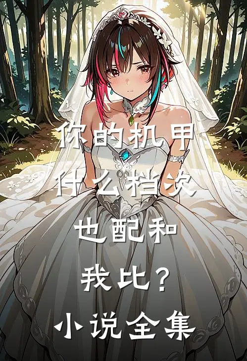 你的机甲什么档次，也配和我比？小说全集