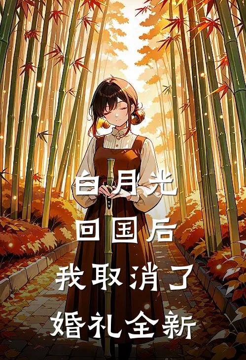 白月光回国后，我取消了婚礼全新