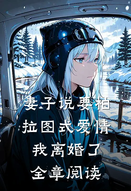 妻子说要柏拉图式爱情，我离婚了全章阅读