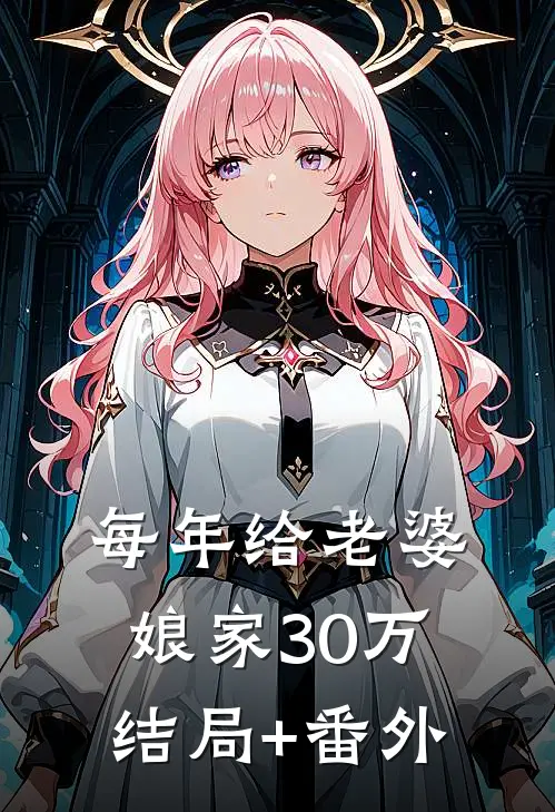 每年给老婆娘家30万结局+番外