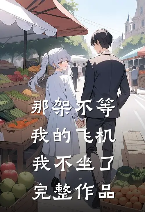 那架不等我的飞机，我不坐了完整作品