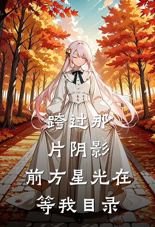 跨过那片阴影，前方星光在等我目录