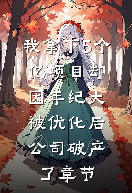 我拿下5个亿项目却因年纪大被优化后，公司破产了章节