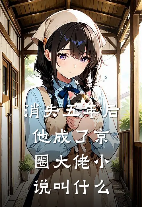 消失五年后,他成了京圈大佬小说叫什么