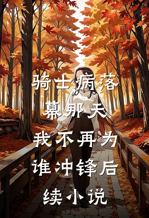 骑士病落幕那天,我不再为谁冲锋后续小说