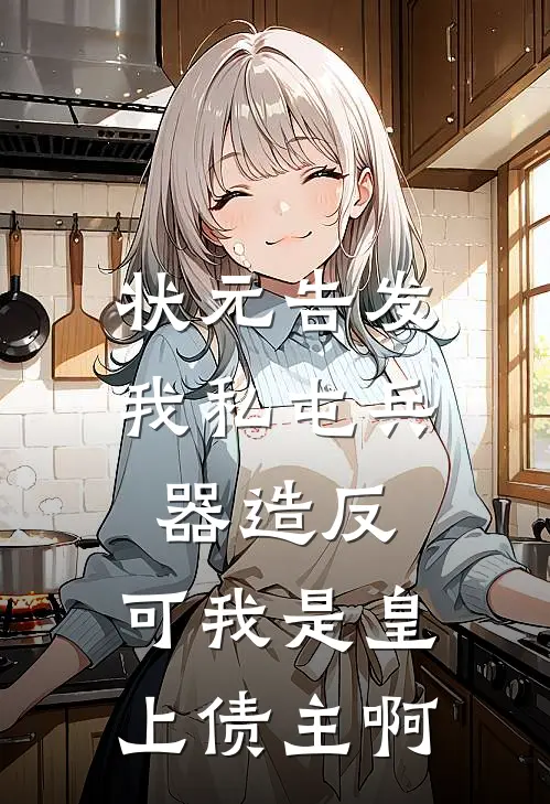 状元告发我私屯兵器造反,可我是皇上债主啊