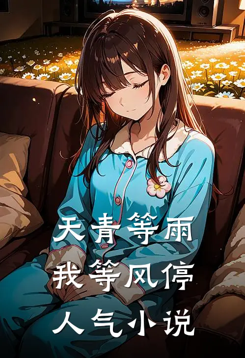 天青等雨，我等风停人气小说