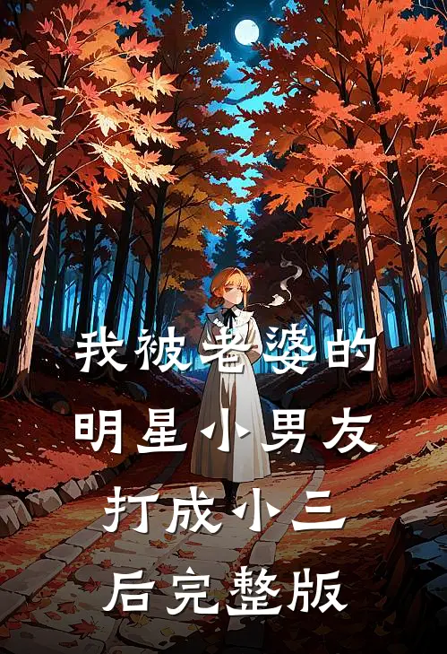 我被老婆的明星小男友打成小三后完整版