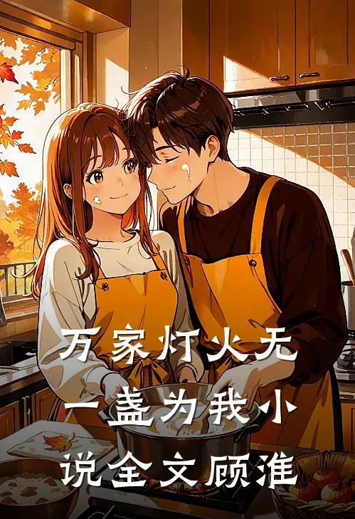 万家灯火无一盏为我小说全文顾淮
