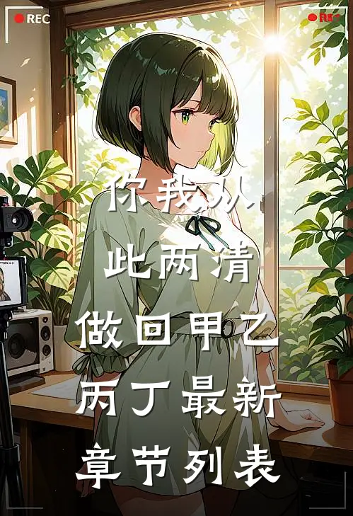 你我从此两清，做回甲乙丙丁最新章节列表