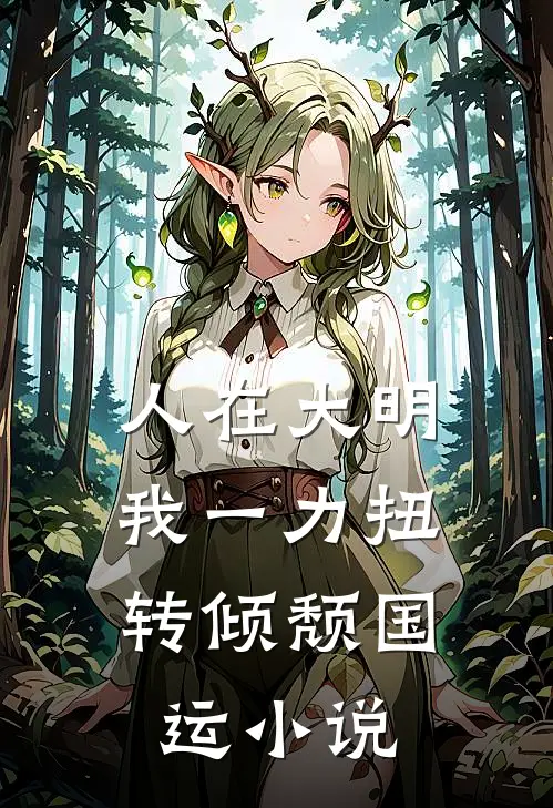 人在大明，我一力扭转倾颓国运小说