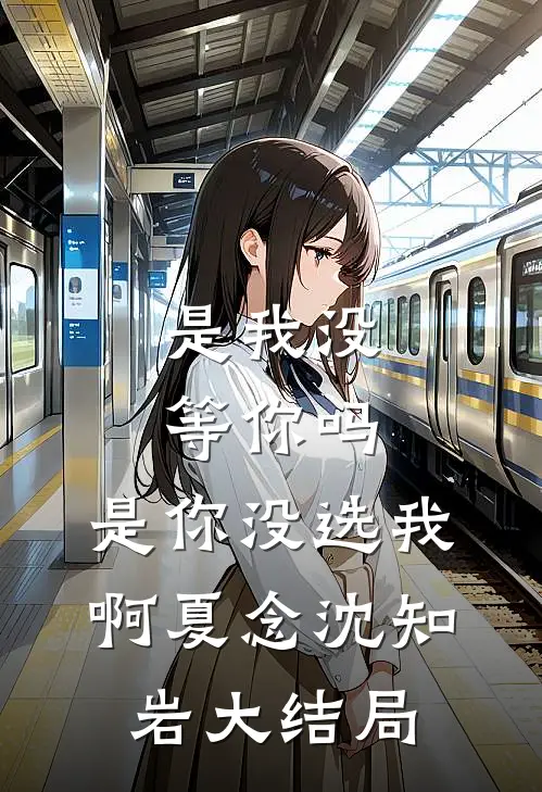是我没等你吗，是你没选我啊夏念沈知岩大结局